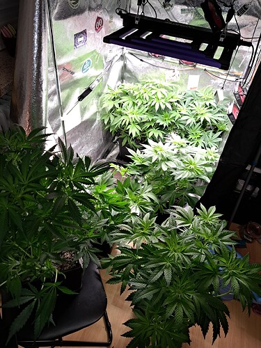 RUID7ed78241bdf1431ca426afc1e5c23c82