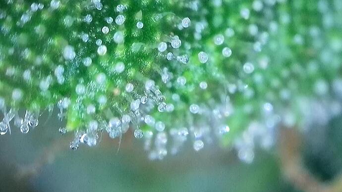 signal-2022-10-25-191504_013