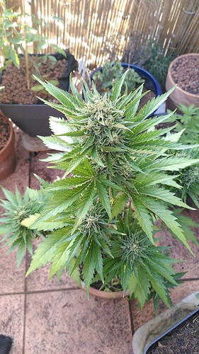 Growreport Bild 10