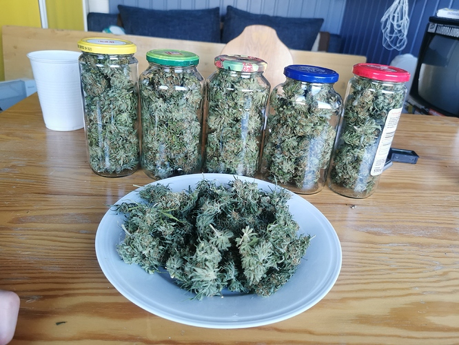 Growreport Bild 8