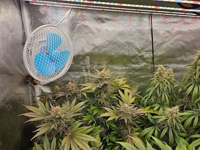 Growreport Bild 21
