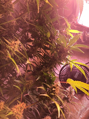 Growreport Bild 18