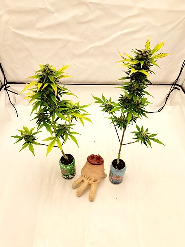 Growreport Bild 18