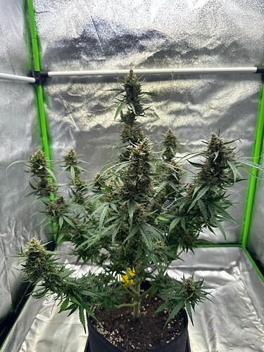 Growreport Bild 7