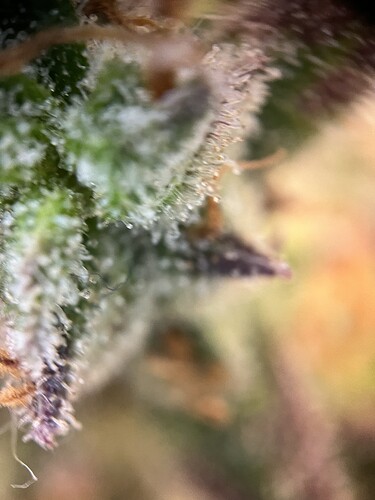 Growreport Bild 23