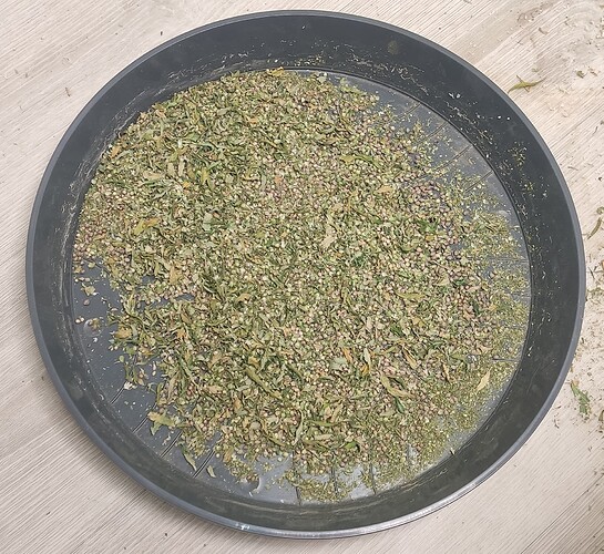 Growreport Bild 7