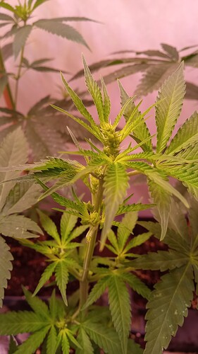 Growreport Bild 11