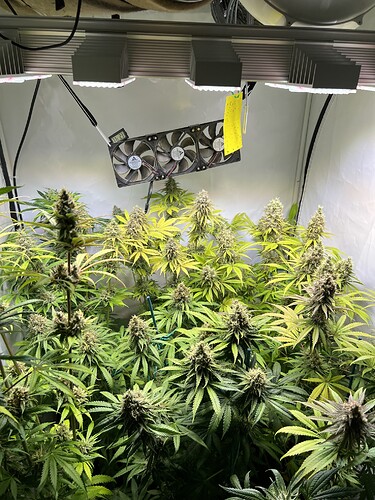 Growreport Bild 2