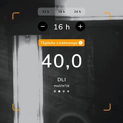 Screenshot_2023-01-31-18-57-22-30_3ccbd9f074b4ae1eeb1af9159766006c~2