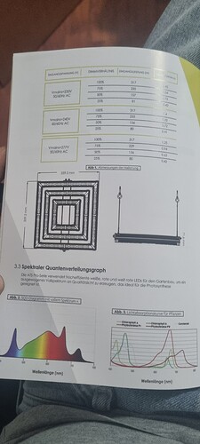 Growreport Bild 9