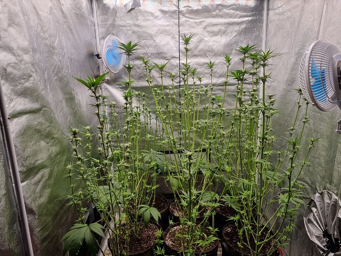 Growreport Bild 22