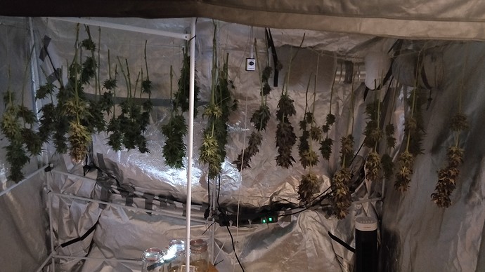 Growreport Bild 16
