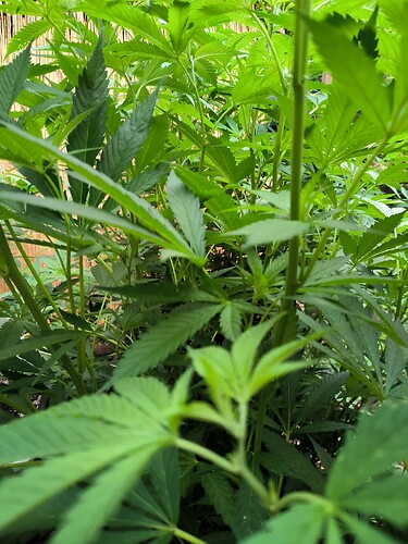 Growreport Bild 17