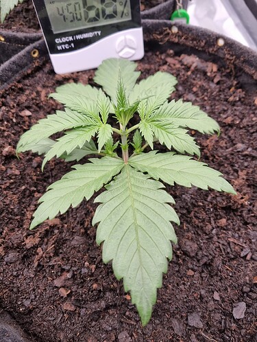 Growreport Bild 22