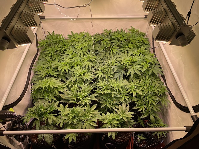 Growreport Bild 14