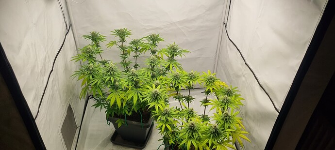Growreport Bild 11