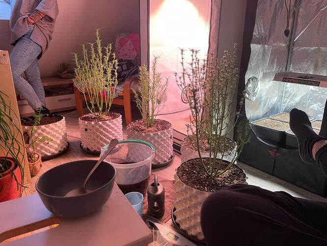 Growreport Bild 1
