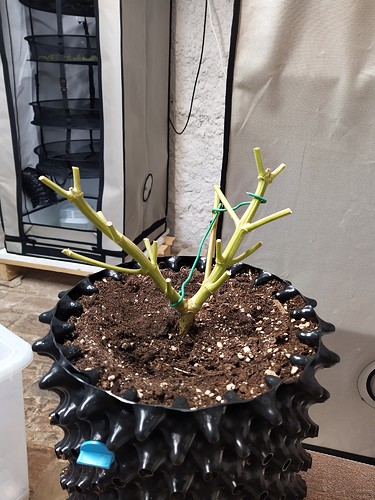 Growreport Bild 8