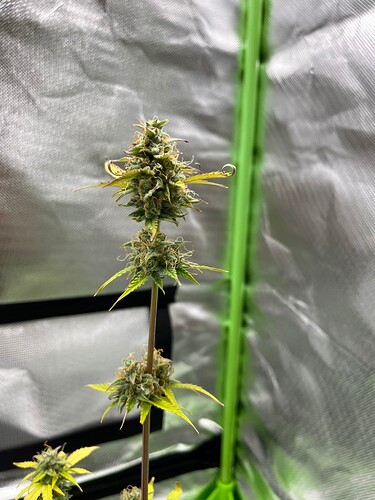 Growreport Bild 21