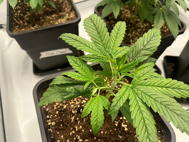 Growreport Bild 14