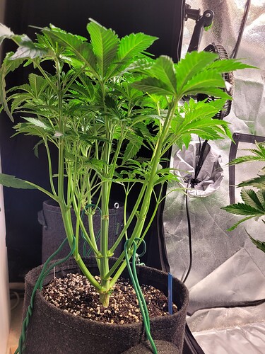 Growreport Bild 26
