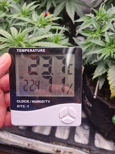 Growreport Bild 38