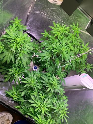 Growreport Bild 11