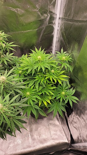 Growreport Bild 9