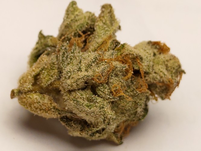 Growreport Bild 10