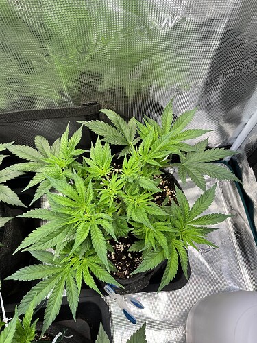 Growreport Bild 17