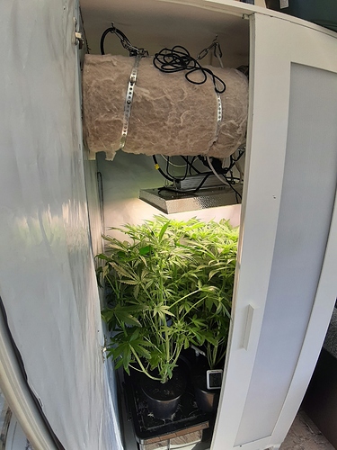 Growreport Bild 1