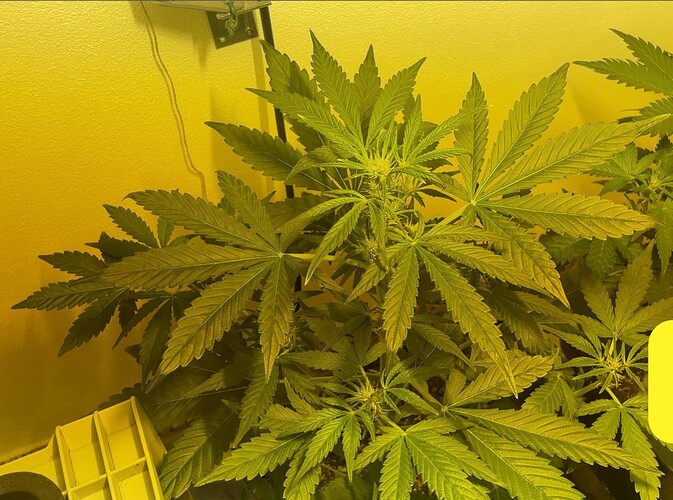 Growreport Bild 5