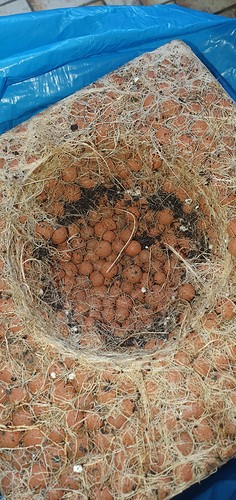 Growreport Bild 44