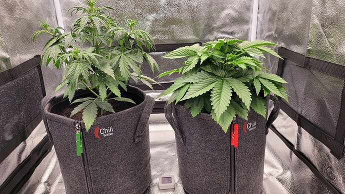 Growreport Bild 5