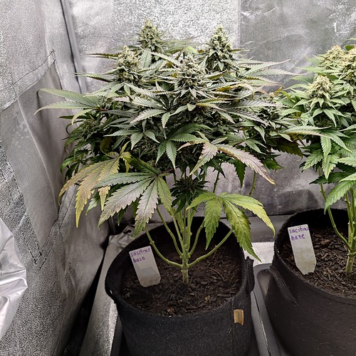 Growreport Bild 10