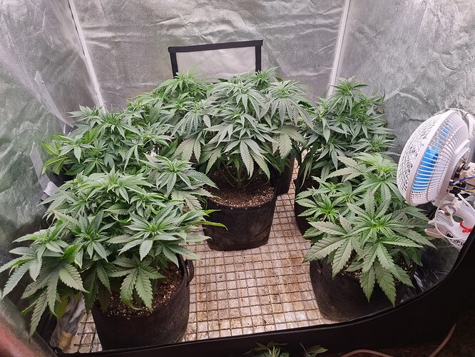 Growreport Bild 26