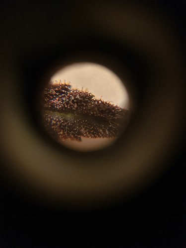 Growreport Bild 8
