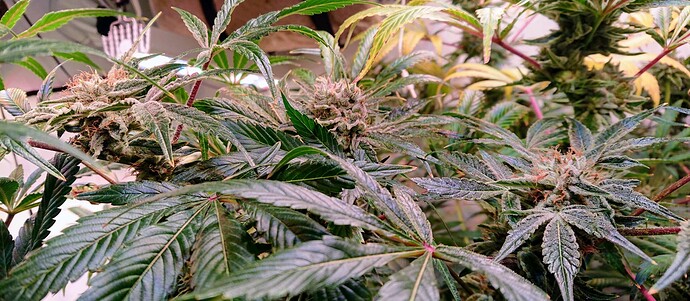 Growreport Bild 12