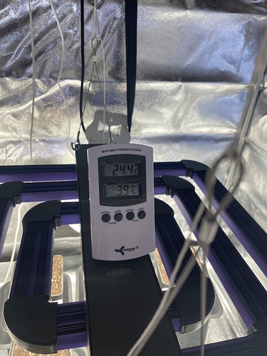 Growreport Bild 32