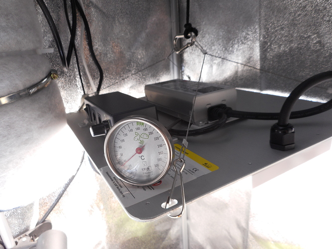 Growreport Bild 6