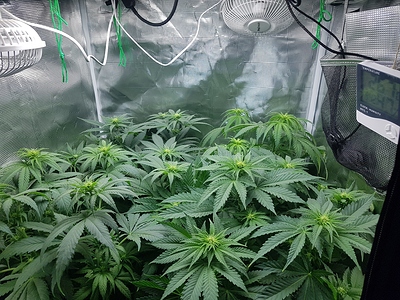 Growreport Bild 5