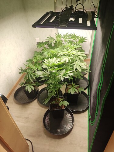 Growreport Bild 8
