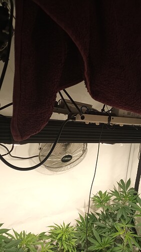 Growreport Bild 11