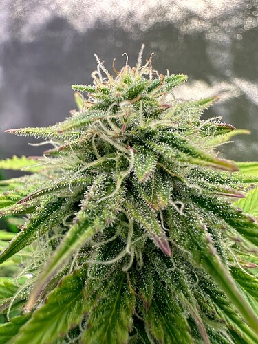 Growreport Bild 14