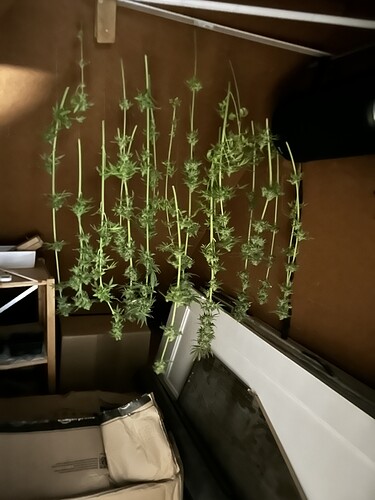 Growreport Bild 11