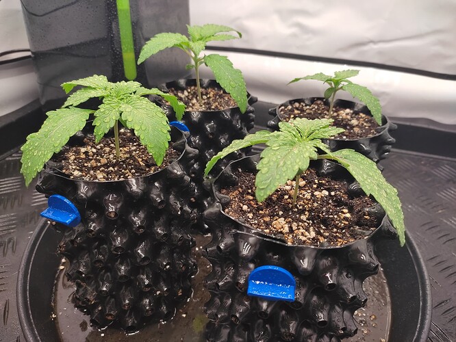 Growreport Bild 10