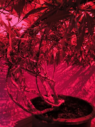 Growreport Bild 4