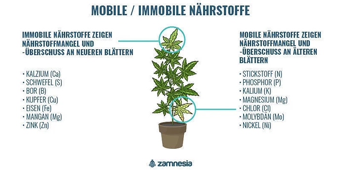 Mobile and Immobile Nutrients_DE