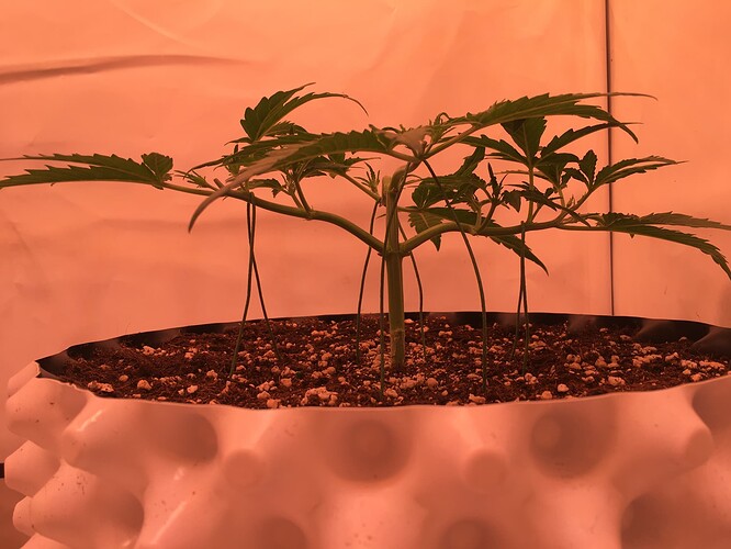 Growreport Bild 4