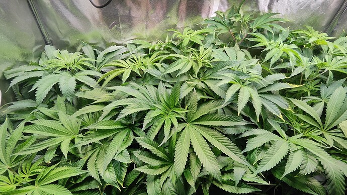 Growreport Bild 10